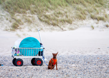Bollerwagen am Strand