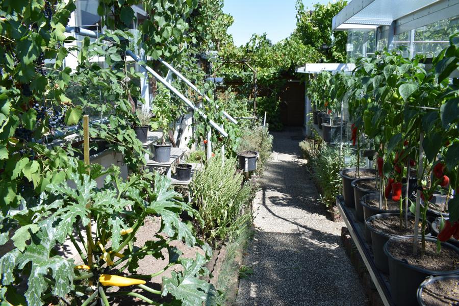Einen kleinen Garten gestalten Lifehacks Wohnen Haushalt