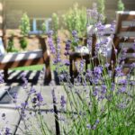 Urlaub im wunderschönen Garten