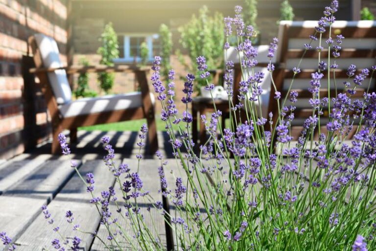 Urlaub im wunderschönen Garten